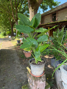 Artikelnummer 03
