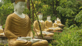 des bouddhas, des bouddhas et des bouddhas