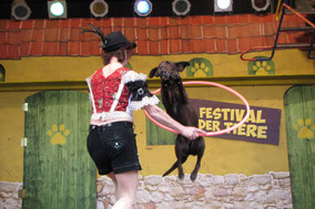 Haustiershow