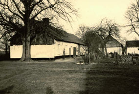 Oude boerderij op de Ulfheide-hulst. Zwart-wit foto