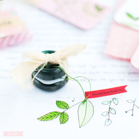 Taller Creativo de Snail Mail by Sami Garra