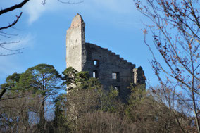 Burgruine Altbodman