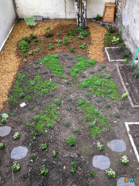  Jardin réalisé par les clients