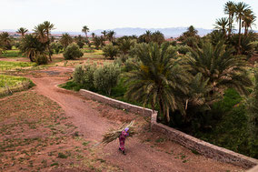 voyage, maroc, tazentoute, ouarzazate, palmeraie, rachel jabot ferreiro