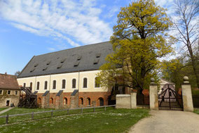 Kloster Altzella Foto: Susann Wuschko