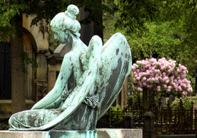 Johannisfriedhof Dresden Foto: Susann Wuschko