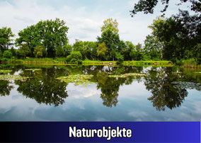 Idylle pur am Gänseweiher in Limbach-Saarland