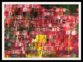Ahorn Bild Kunst abstrakt Foto impressionistisch