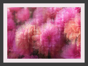 Blumen Rhododendron Bild Kunst abstrakt Foto impressionistisch