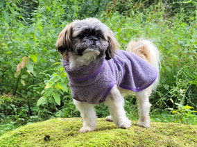 handgefertigter Hunde-Bademantel violet, maßgeschneidert von Bijou Chien
