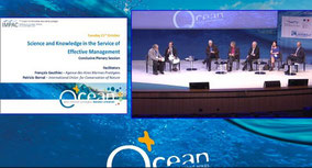 IMPAC Plenary Panel, Marseille, France, 22 October 2013, CNE third from right