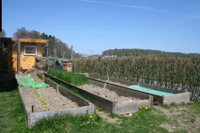 Gartenbeete um unser damaliges Haus in der Schweiz