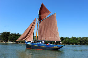 Semaine du Golfe 2017 Morbihan voiliers traditionnels