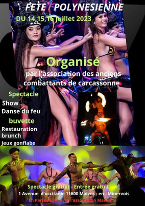 Affiche Jaune bleu et verte sur le batême et la compétition de Va'a, pirogue polynésienne. Il y a une image d'une femme de dos sur une pirogue sur le lagon ransparent en face de maison sur piloti et des montagnes.