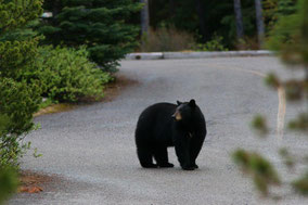 Canada, June 2017