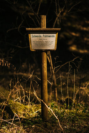 Neresheim, wandern, Wanderweg, Natur, Härtsfeldsee, Ostalbkreis, "Stift und Linse"