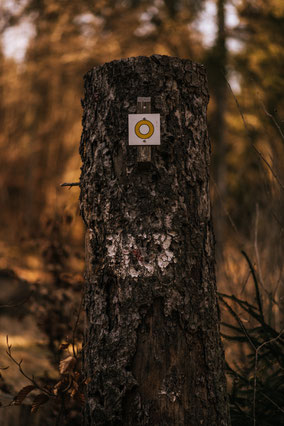 Neresheim, wandern, Wanderweg, Natur, Härtsfeldsee, Ostalbkreis, "Stift und Linse"