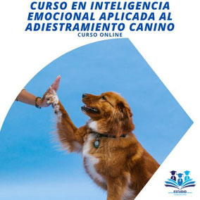 Curso en Inteligencia Emocional Aplicanda al Adiestramiento Canino