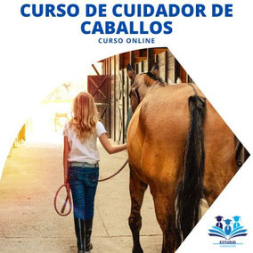 cuidador de caballos