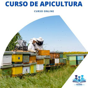 curso de apicultura