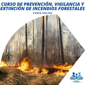 Curso de Incendios Forestales