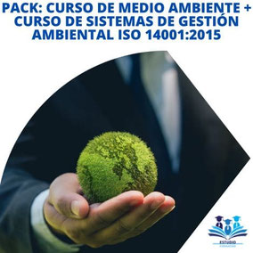 curso de medio ambiente + curso de gestion ambiental
