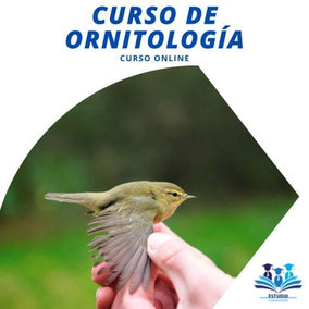 curso de ornitología