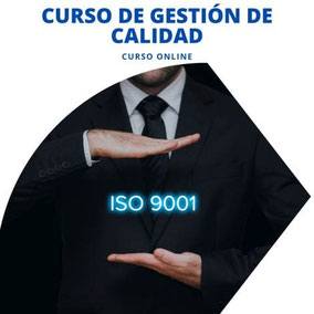 curso de gestion de la calidad