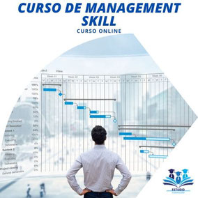 CURSO DE MANAGEMENT SKILLS