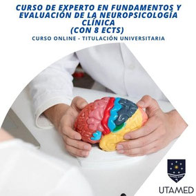 Curso de Experto en Fundamentos y Evaluación de la Neuropsicología Clínica