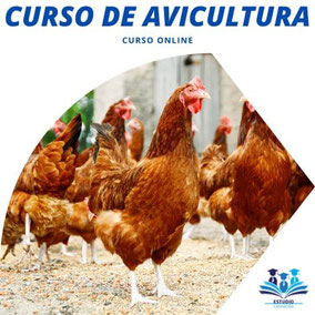curso de avicultura
