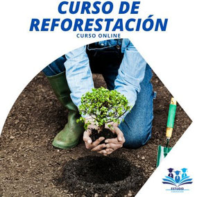 CURSO DE REFORESTACIÓN