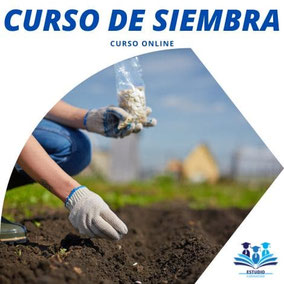 curso de siembra