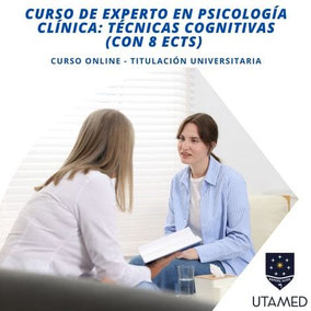 Curso de Experto en Psicología Clínica: Técnicas Cognitivas