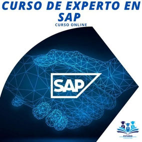 curso de experto en sap