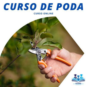 CURSO DE PODA DE ÁRBOLES