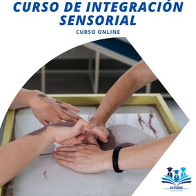 Curso de Integración Sensorial