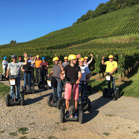 Durch die Reben am Kaiserstuhl