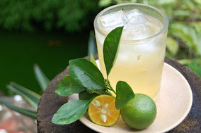 Quelle: http://kidpawan.blogspot.de/ 2009/08/calamansi-citrofortunella-macrocarpa.html