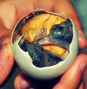 Autor: bizarrefood. Quelle: http://www.bizarrefood.com/blog/fertilized-duck-embryo-balut/