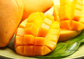 Autor: The Nature's Market. Quelle: http://www.thenaturesmarket.com/ MangoPowderExtract.html