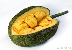 Quelle: http://www.wisegeek.org/what-is-jackfruit.htm
