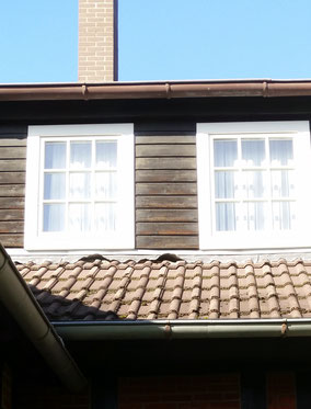 Anzeichen für Marder im Dach