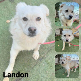 Adopté en Septembre 2025