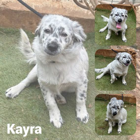 Adoptée en Janvier 2026