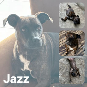 Adoptée en Octobre 2025