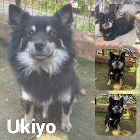 Adopté en Décembre 2025