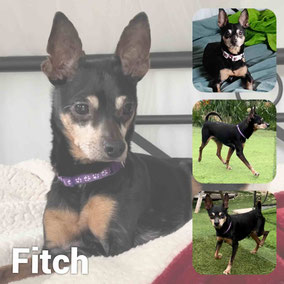 Adopté en Septembre 2025