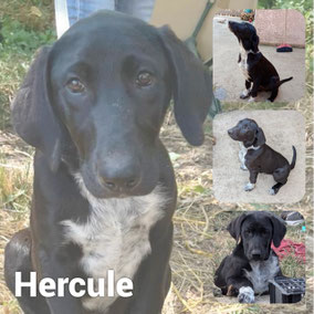 Adopté en Octobre 2025