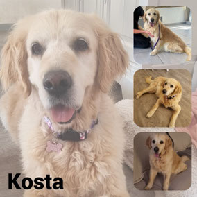 Adoptée en Septembre 2025